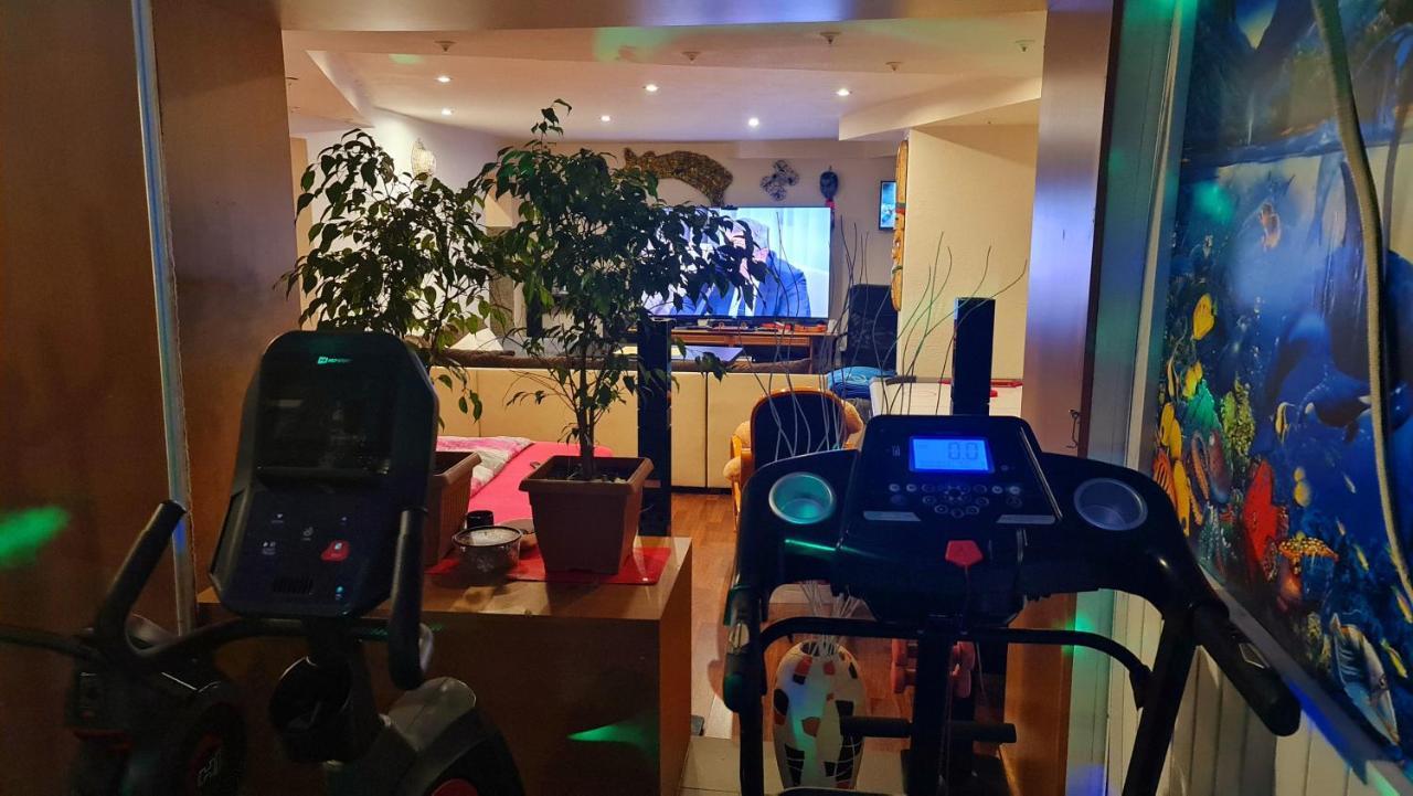 קטוביץ Apartament Park Slaski מראה חיצוני תמונה